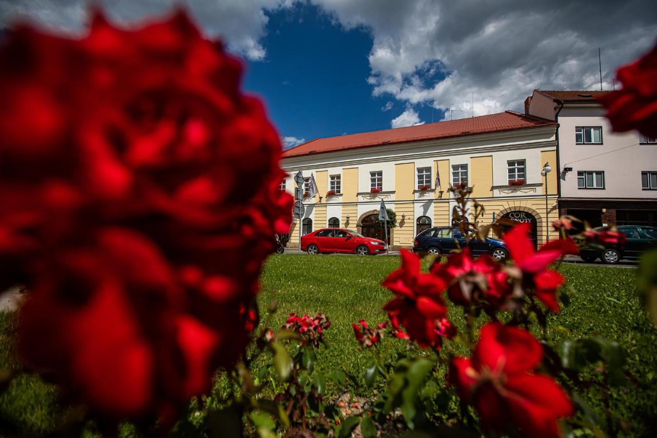 Penzion Satlava Nové Město nad Metují エクステリア 写真